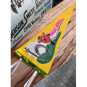 画像: SIX FLAGS "MAGIC MOUNTAIN TROLL" VINTAGE PENNANT