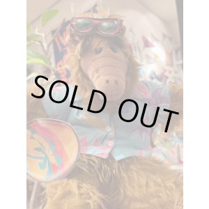 画像: ALF 1980'S "SURFER" PUPPET DOLL