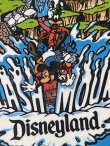 画像3: DISNEYLAND "SPLASH MOUNTAIN" 1980'S PIN BACK BUTTON #1