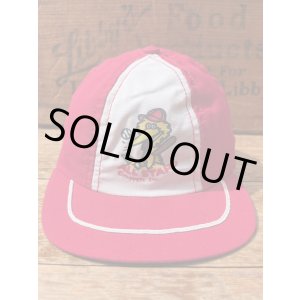 画像: SESAME STREET "BIG BIRD" KIDS "MADE IN USA" D.STOCK CAP #2