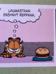 画像23: GARFIELD "KARVINEN"A.K.A.😾BARFIELD!! 2001'S FINNISH BOOK 