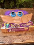 画像18: TROLLS "PURPLE”1998'S D.STOCK ACTIVITY COLLECTOR'S CASE