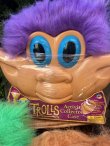 画像20: TROLLS "PURPLE”1998'S D.STOCK ACTIVITY COLLECTOR'S CASE