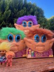 画像18: TROLLS "ORANGE”1998'S D.STOCK ACTIVITY COLLECTOR'S CASE