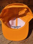 画像7: PEDIGREE × NASCAR🏁VTG D.STOCK CAP