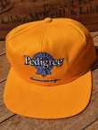 画像1: PEDIGREE × NASCAR🏁VTG D.STOCK CAP