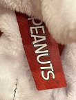 画像8: PEANUTS "CLASS OF 2020🎓GRAD” WALKING DOLL 