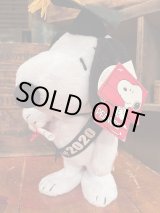 画像: PEANUTS "CLASS OF 2020🎓GRAD” WALKING DOLL 