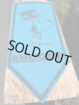 画像: PEANUTS "SNOOPY FOR PRESIDENT" VINTAGE BANNER