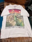 画像1: DINOSAURS "MADE IN USA" KIDS VINTAGE T-SHIRTS