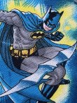 画像7: BATMAN KIDS USED REVERSIBLE VEST