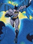 画像8: BATMAN KIDS USED REVERSIBLE VEST