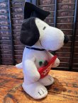 画像3: PEANUTS "TOP DOG🍎 2015'S WALKING DOLL 
