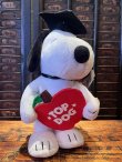 画像1: PEANUTS "TOP DOG🍎 2015'S WALKING DOLL 
