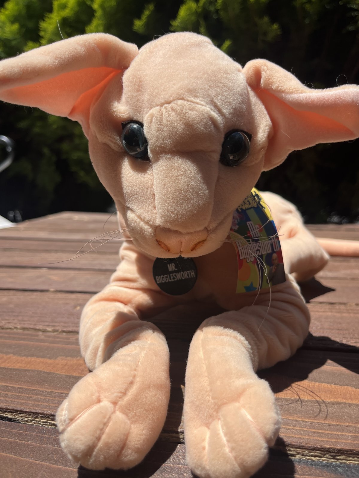 画像17: AUSTIN POWERS "MR. BIGGLESWORTH" 1999'S D.STOCK PLUSH DOLL